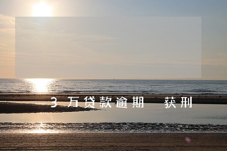 3万贷款逾期 获刑